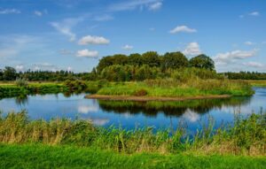 nationaal park biesbosch