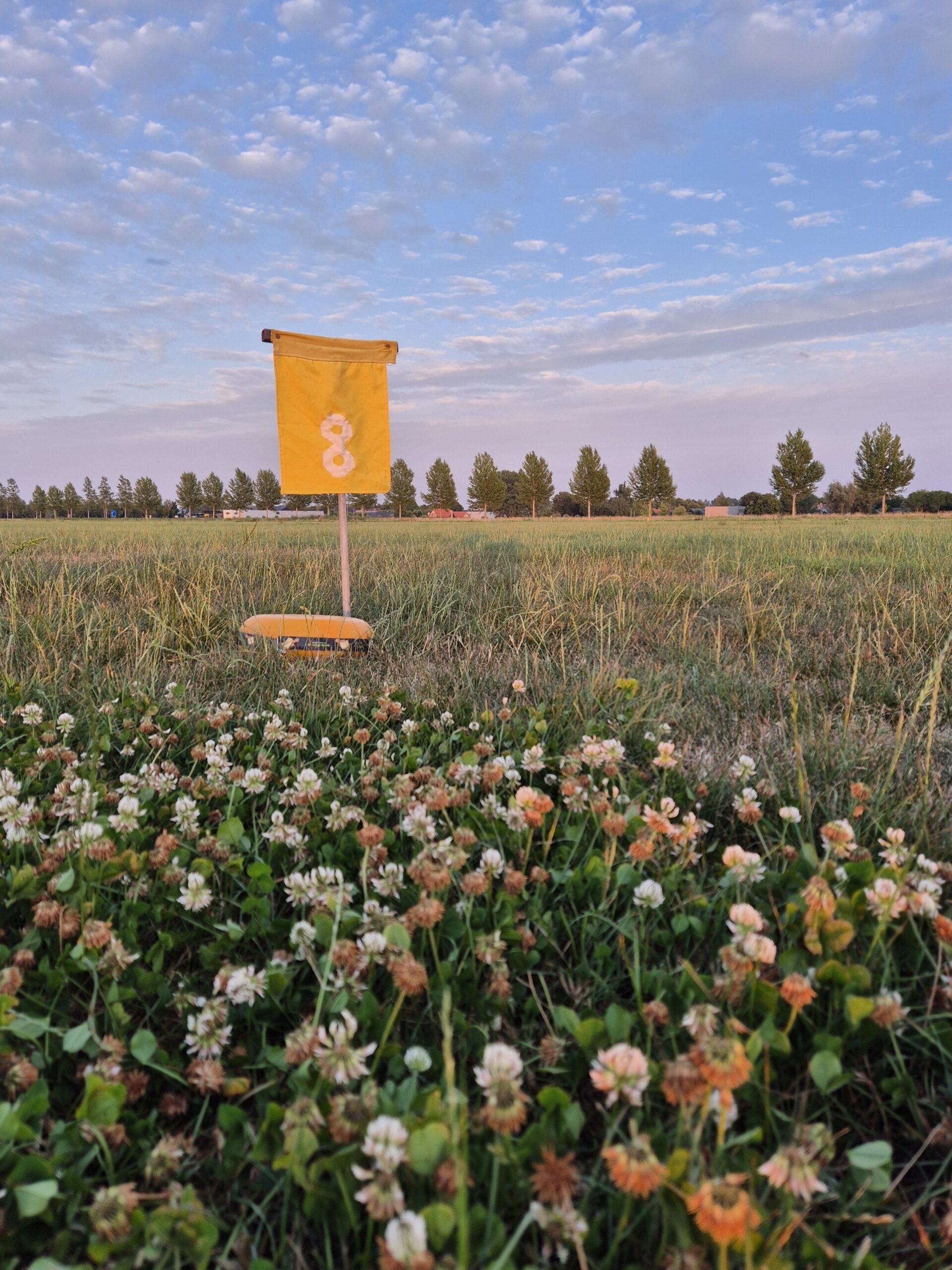 Kaasjesgolf - Afbeelding 2