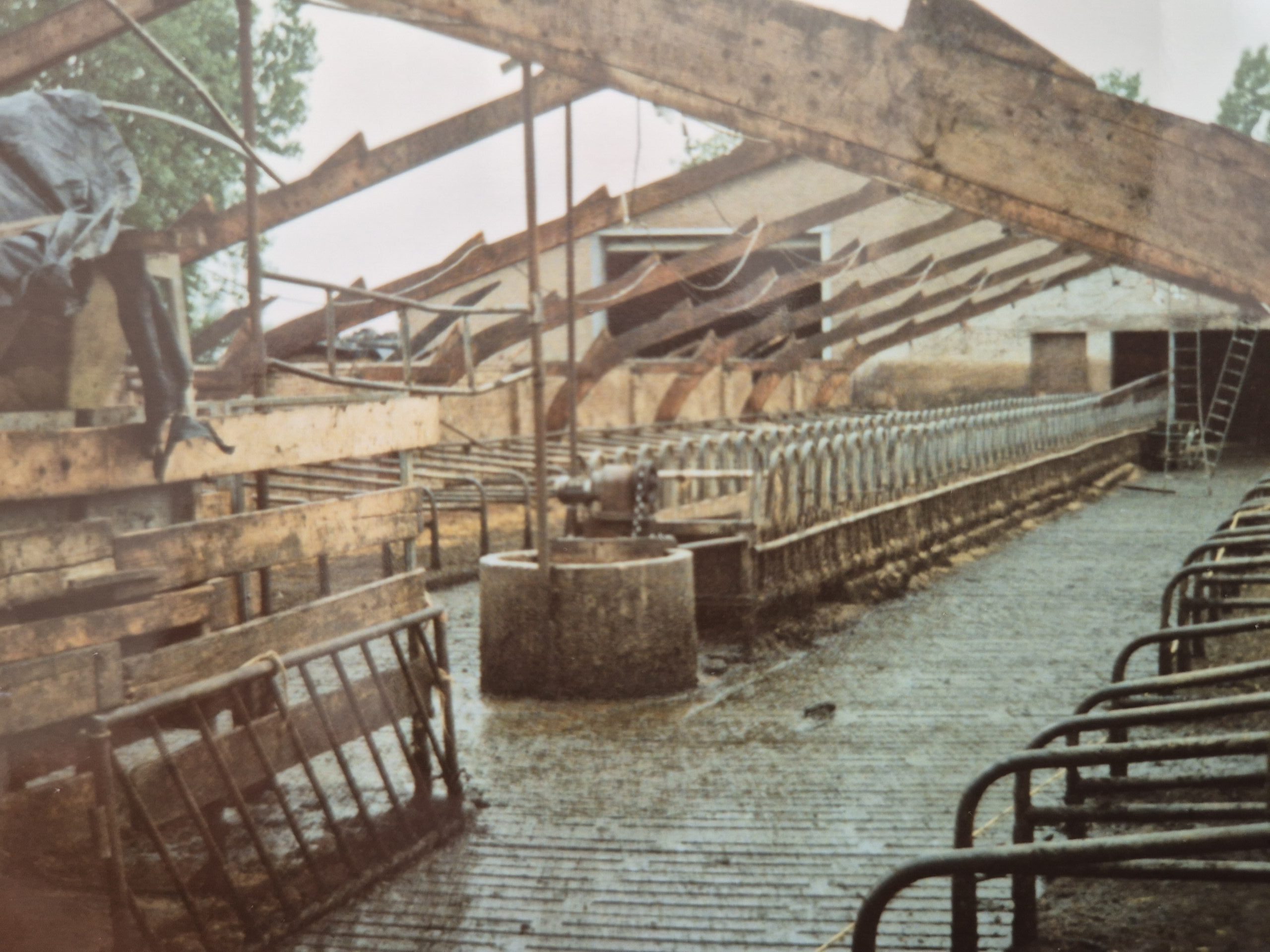 Ingrijpende verbouwing van De Lange Hoeve in 1990: het vervangen van de lage daken voor een hoge, open dakconstructie.
