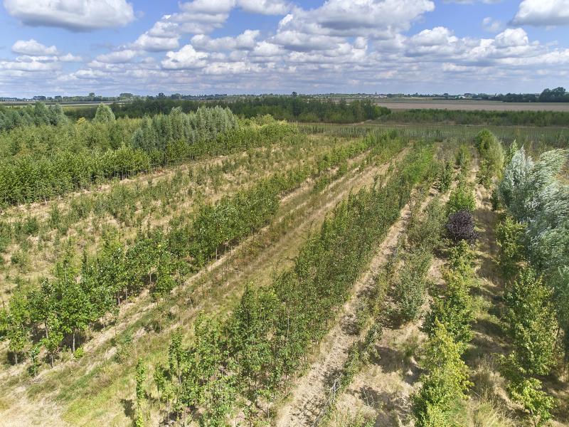 Genderense Hoeve - Afbeelding 26