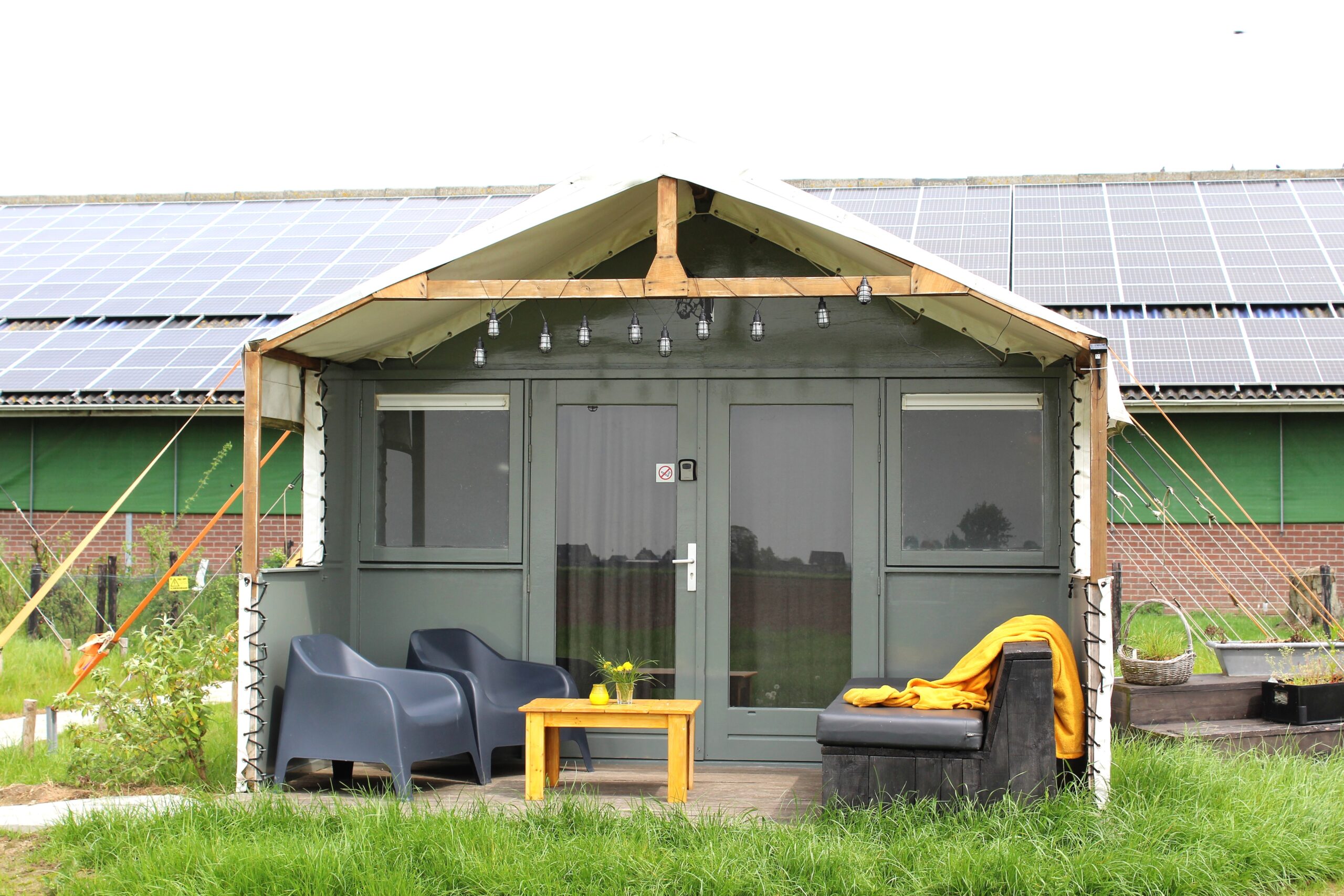 loft paard Nix hoeve