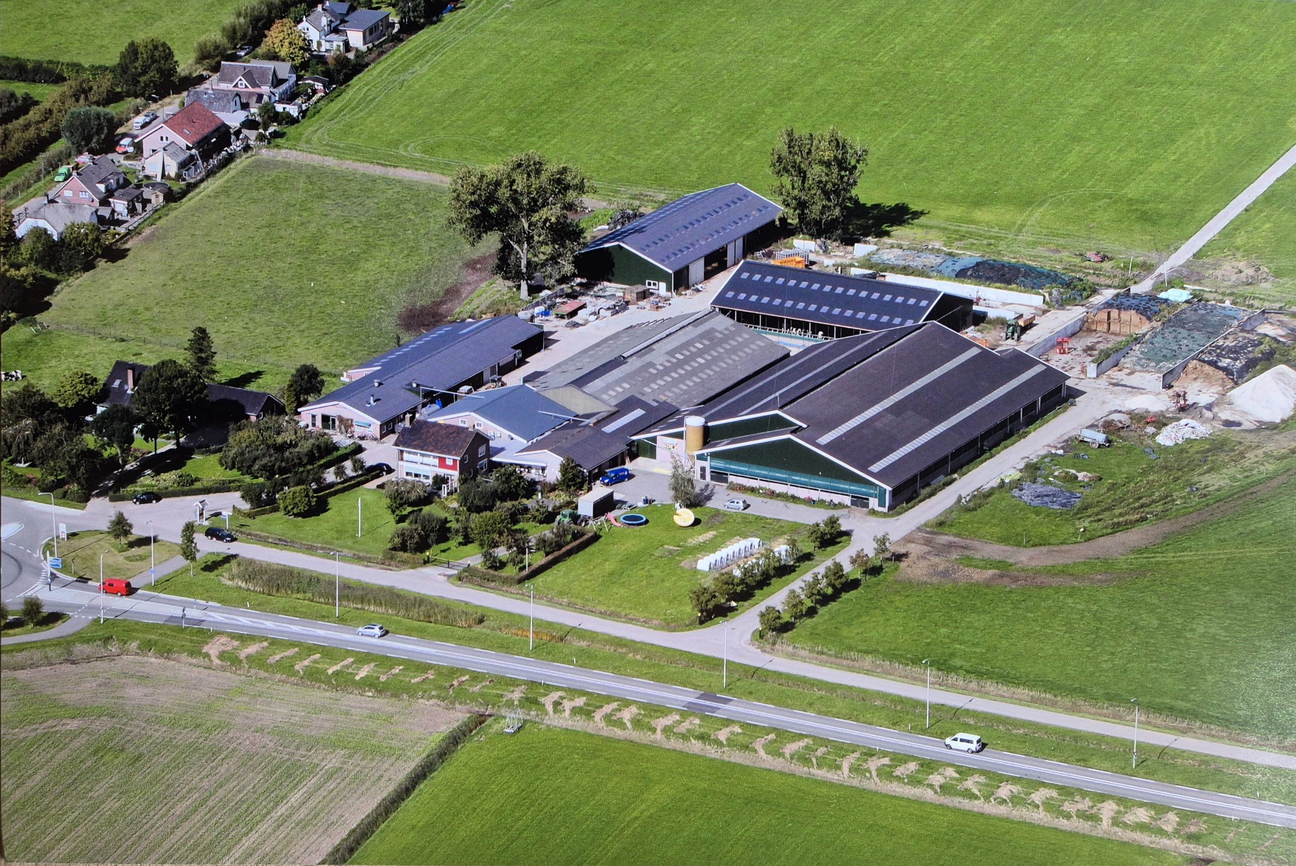 De innovatieve Groenlabel stal van De Lange Hoeve met mestrobot en geavanceerde klimaatbeheersing voor een gezond stalklimaat.