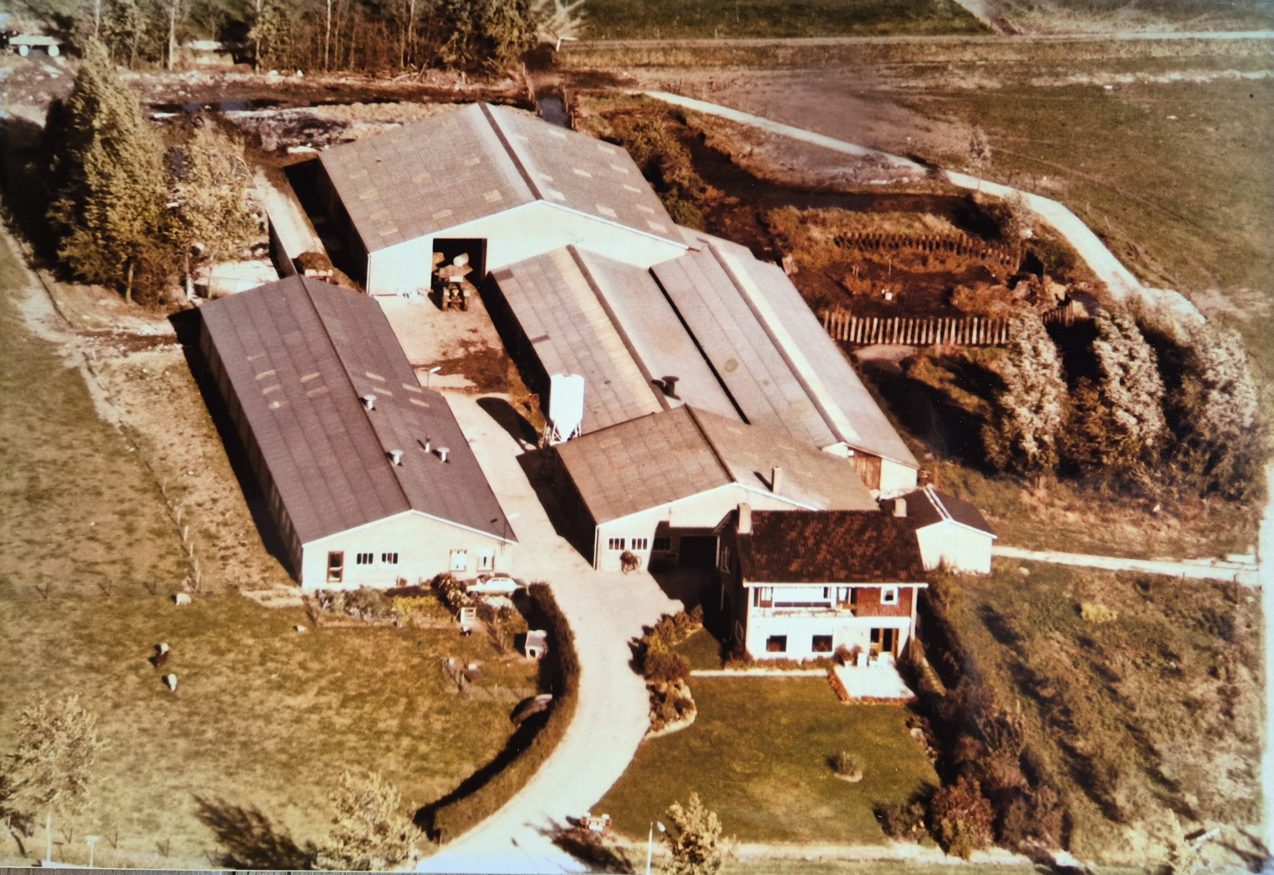 Overzicht van het boerenbedrijf De Lange Hoeve aan de Kleibergsestraat in 1980, klaar voor de uitdagingen van de nieuwe tijd.