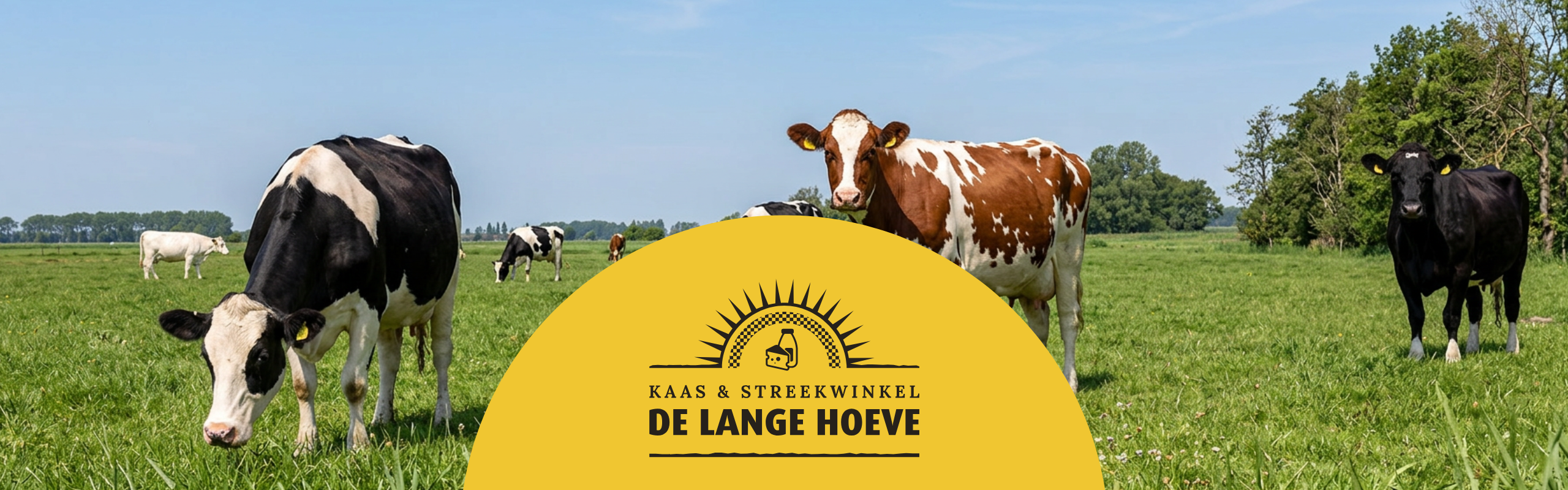 visual-kaas-en-streekwinkel-de-lange-hoeve